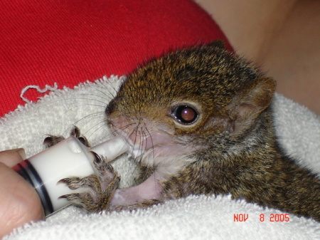 Rocky having breakfast