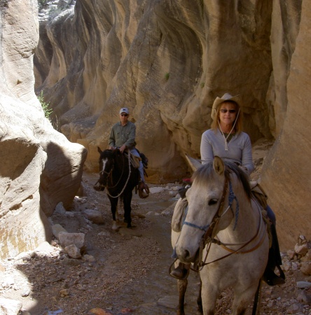 More horseback riding