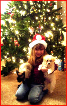 Christmas 2005, Syd, Tink & Ace