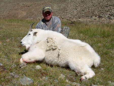 Mountain Goat 2008