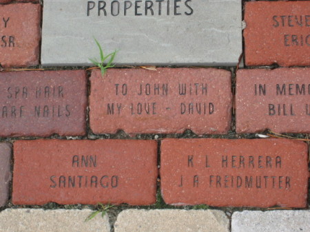 Brick in Cayuga Waterfront Trail, Ithaca, NY