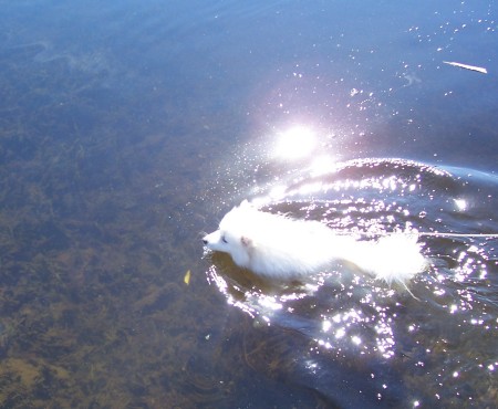 Spirit in the Lake