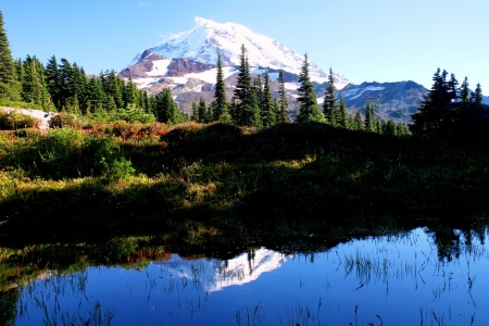 Mt. Rainier from Spray Park