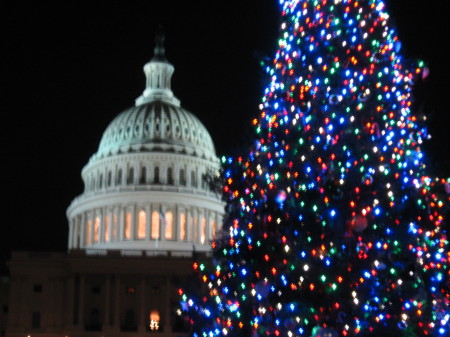 Christmas in DC