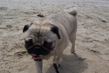 Janet at the beach