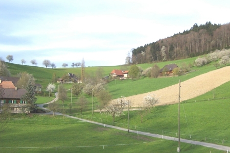 Swiss Home 2005-7
