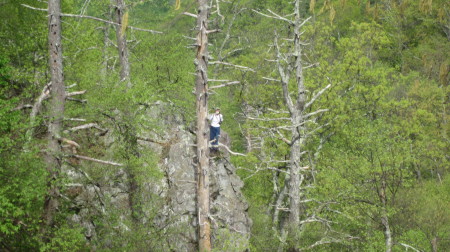 William Lightfoot's album, Appalaichain Trail