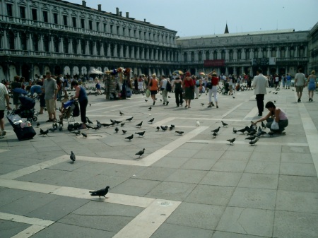 St. Marks Square Venice