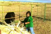 Jennavie feeding the horses in Texas