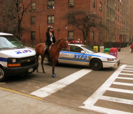 Stephanie heads to Central Park for a ride.