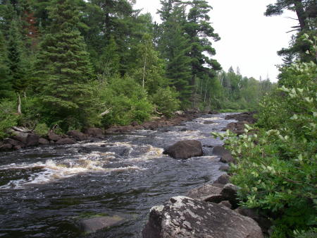 BWCA