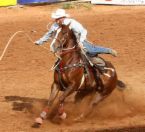 cowboy-roping3