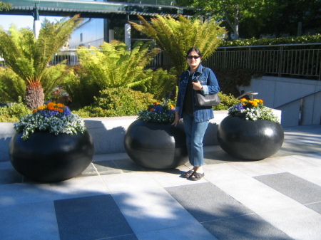 My wife at Yerba Buena garden in S.f.