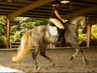 Laurie & Polo Cantering