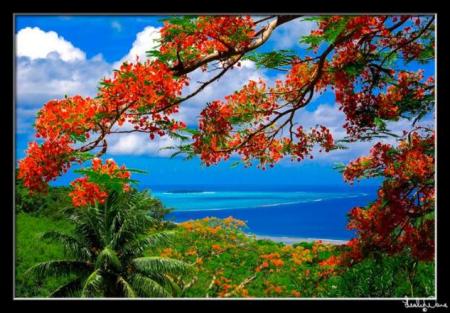 Saipan...tropical island in the south Pacific