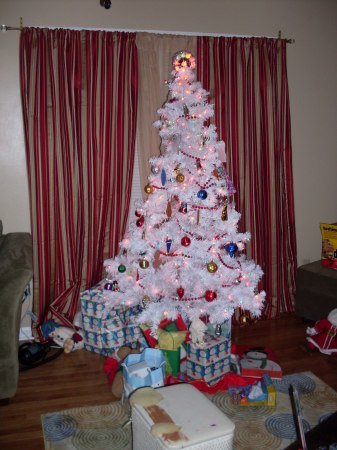 Our Tree