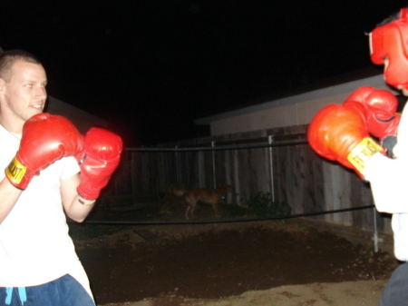 Joey boxing