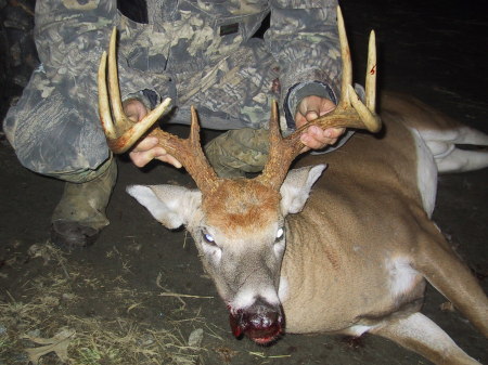 mk 8point 2005img_3484buck