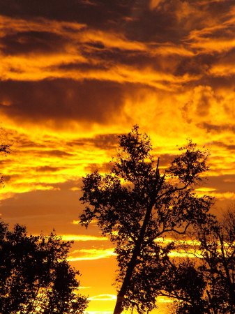 Alaska Sunset at my house