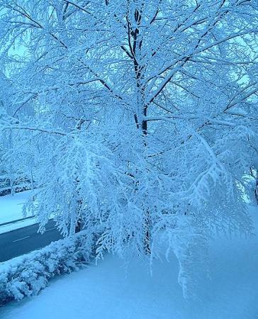 Winterm��rchenland in Stuttgart, Deutschland