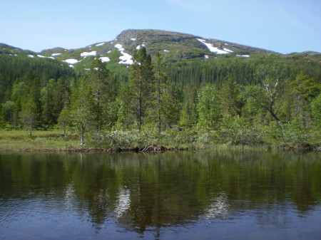 Norwegian nature