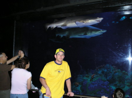 Sea World 2004