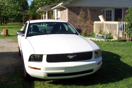 MY Mustang
