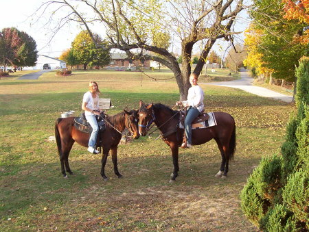 horses of corse