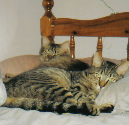 Mika and Tigger2005