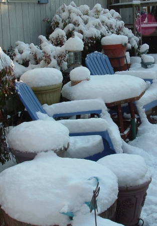 February Snow 2006