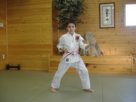shadden 7, adam and vinnie's nephew ( he is now a brown belt in karate )
