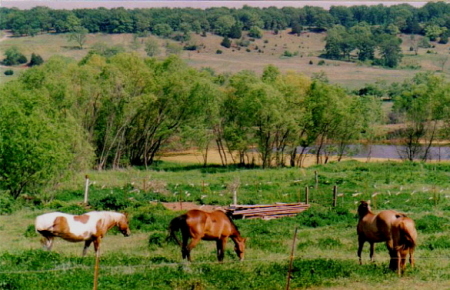 My precious girls out at the ranch in 2005