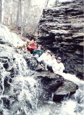 Waterfalls at the back of my property and kids