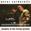 Newest Cd cover"Knights of The Living Groove"2005