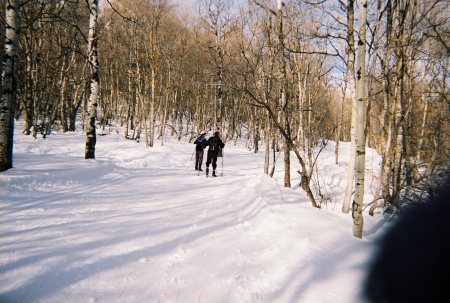 Cross Country Skiing