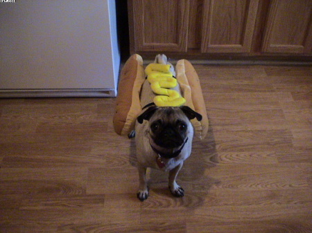 Hot dog!