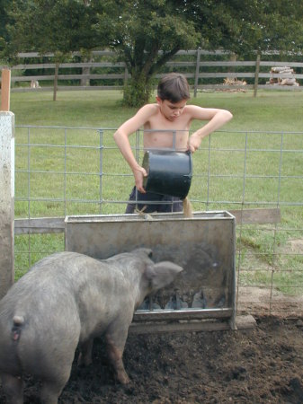 Billy with one of his 4H hogs