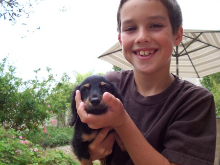 Sawyer and our new puppy