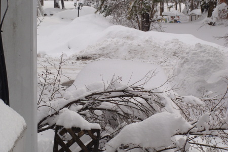 Snow Storm Feb 2010