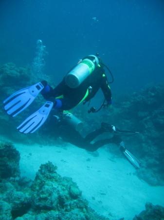 Diving the GBR