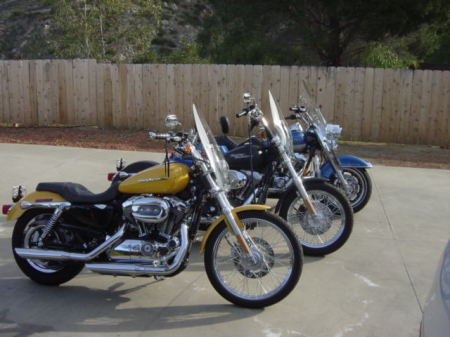 My Harleys