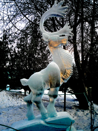 "CARIBOU" FREEZE PROJECT~