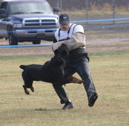 '04 Schutzhund Championships