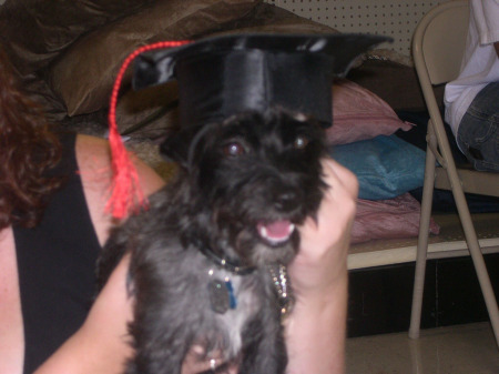 Tux graduating from obedience school