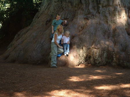 At the Redwoods!!