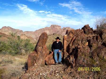 RESTING AT THE KOFA NATIONAL FOREST AZ.