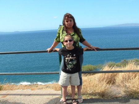 That's a great picture on Hawaii ( My son and my Wife )