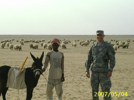 SSG Harris with the sheep herd