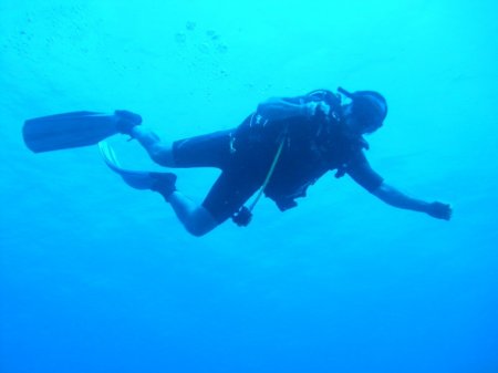 Diving in Grand Cayman Nov 2008