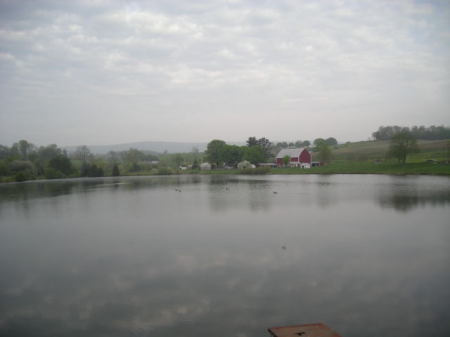 Taken on the dam looking towards farm.